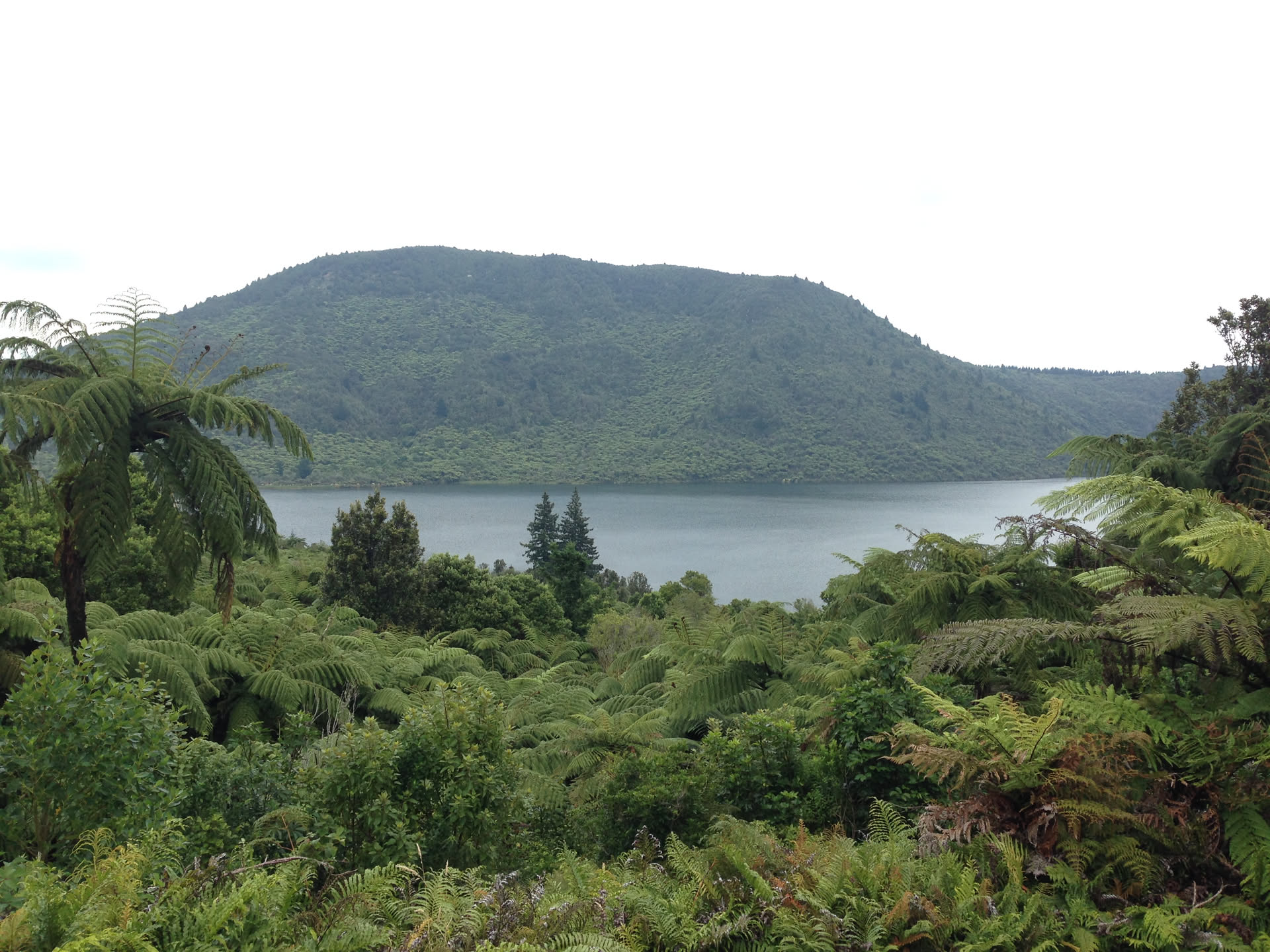 Tarawera Ultra 100km 2016