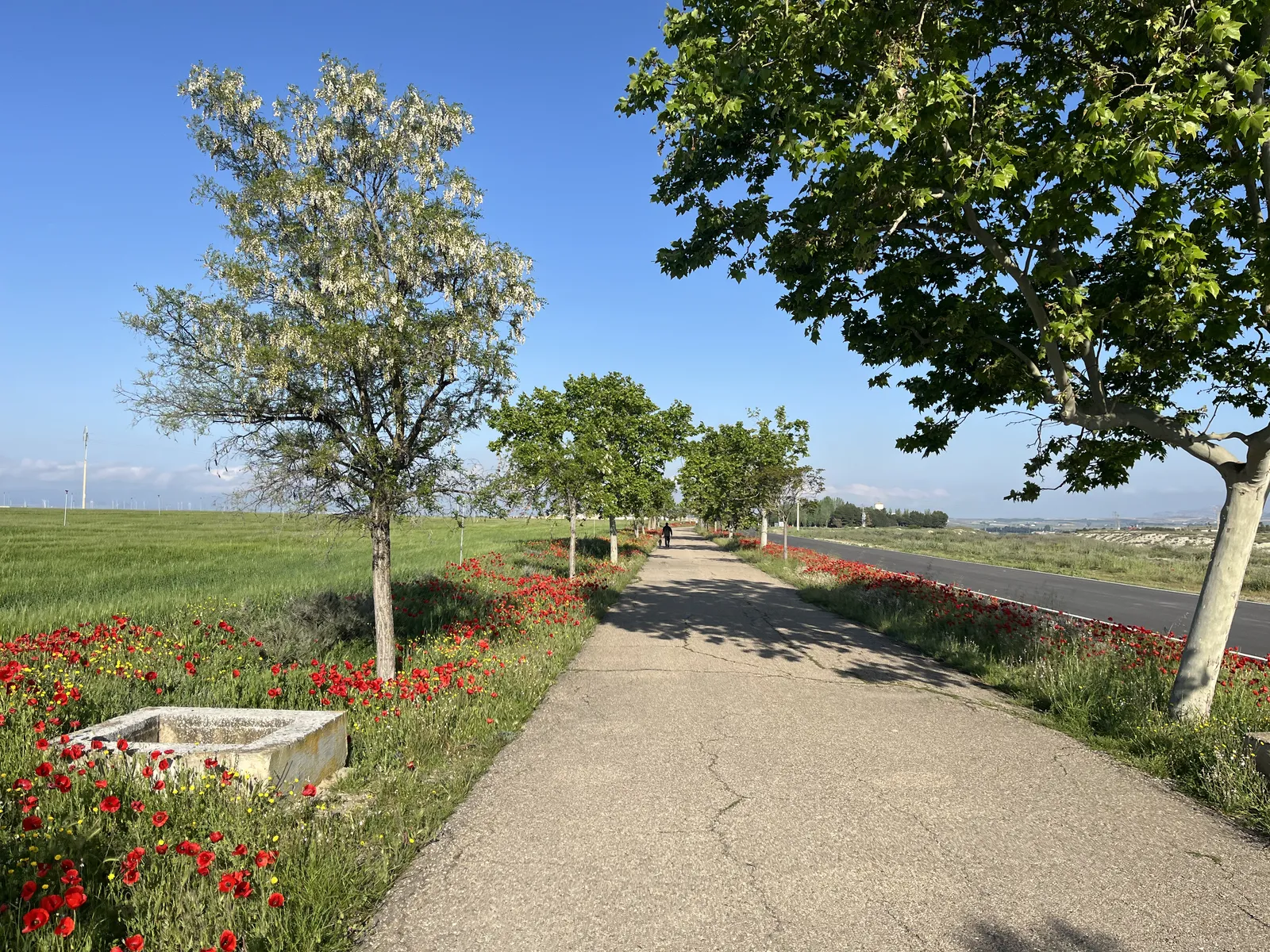Featured image for post: TransEspana Day 4: Castejon de Valdejasa to Fuendejalon (61km)