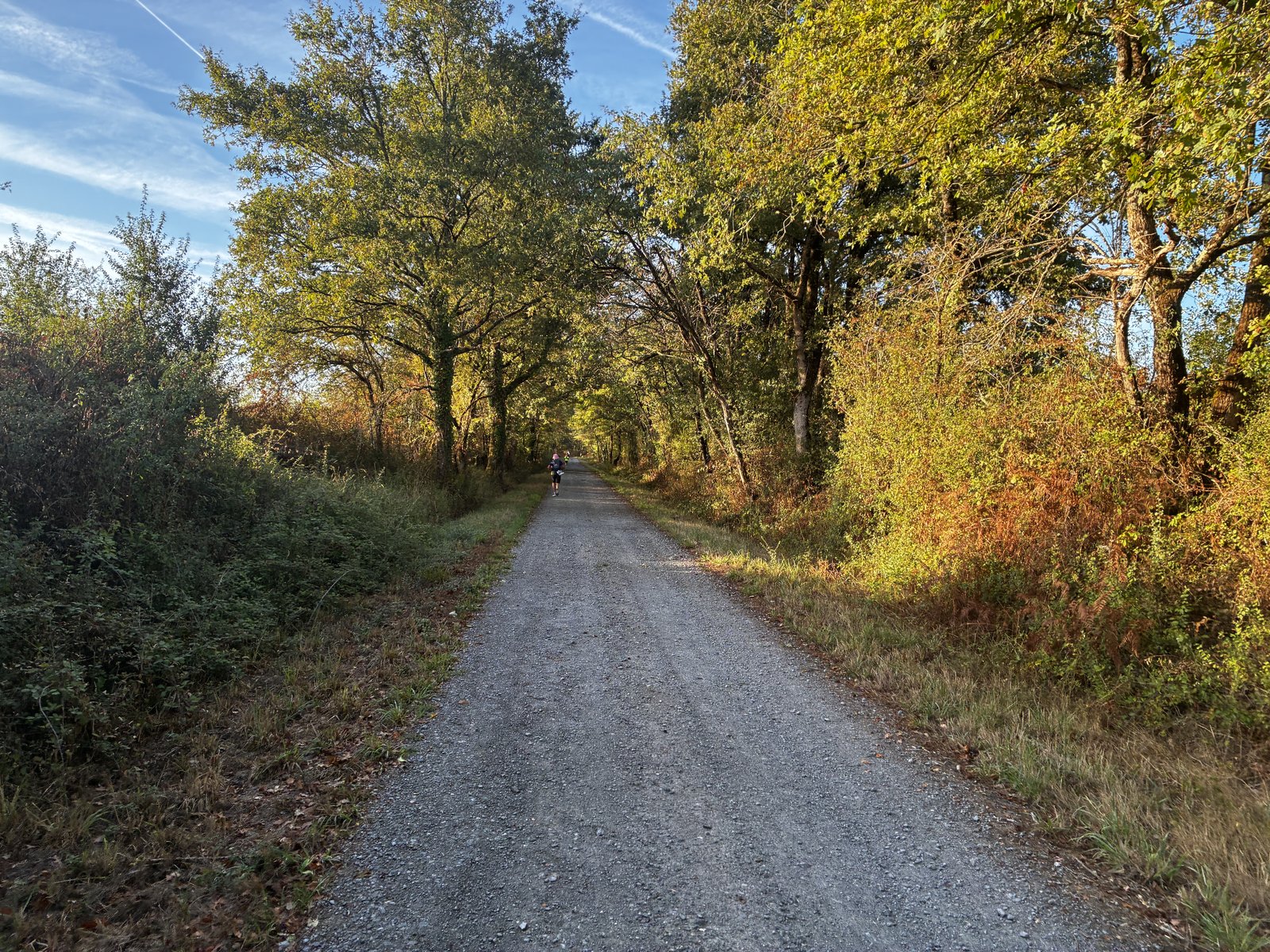 Ultra En Pente Douce Day 3: Lathus to Saint Benoit du Sault (53.2km)